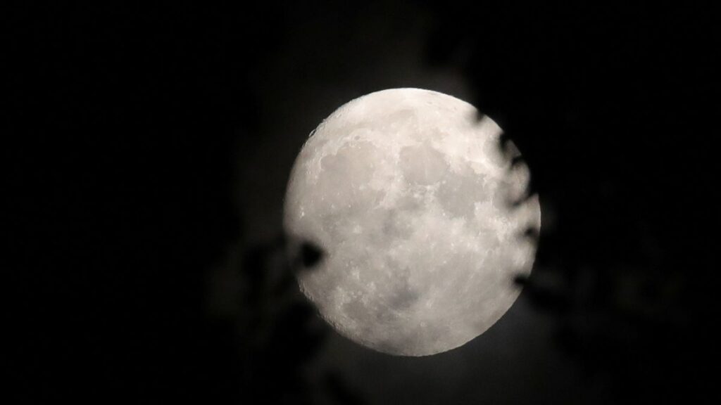 La luna llena